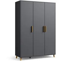 Rauch Drehtürenschrank »Shinjo« - 140x53x203cm - grau -