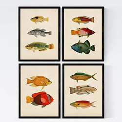 POSTER Set mit 4 Savu 11 verschiedenen Fischen A4 Schwarzer Rahmen