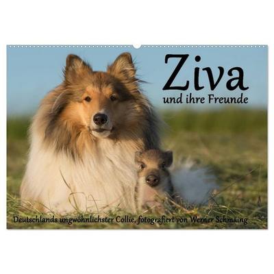Ziva und ihre Freunde (Wandkalender 2027 DIN A2 quer), CALVENDO Monatskalender