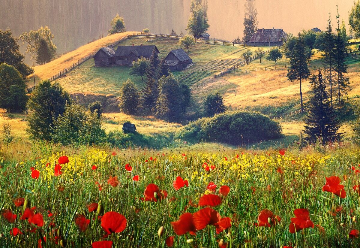 Fototapete PAPERMOON "Neblige Sommerlandschaft", bunt, B:4m L:2,6m, Vlies, Tapeten, Fototapete bunt B/L: 4m x 2,6m, Bahnen: 8 Stk.
