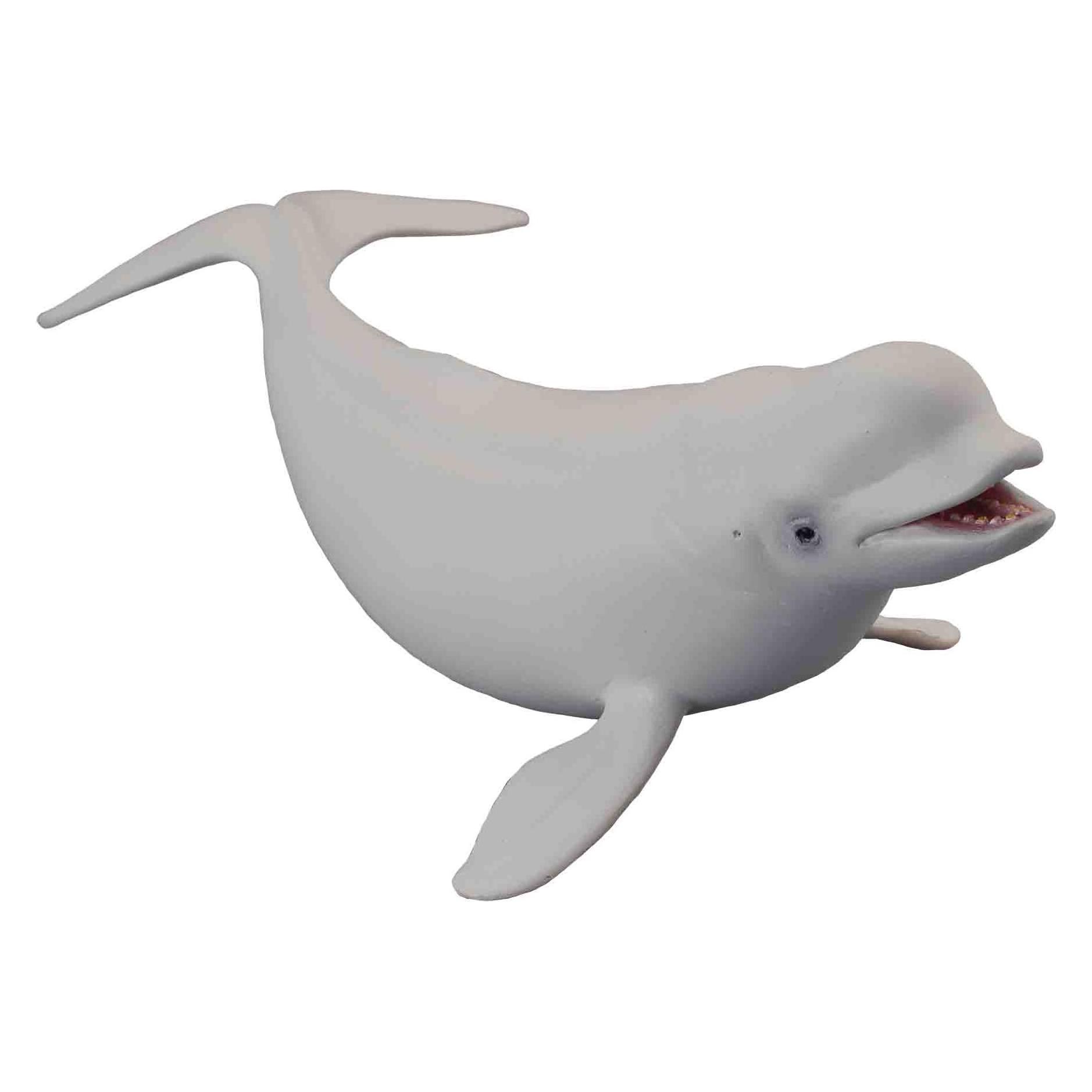 Collecta Beluga Wal (88568)