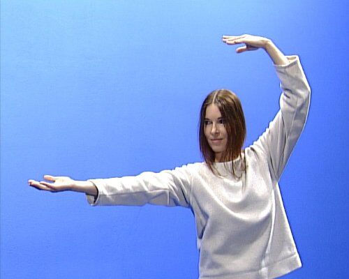 Werner Sandrowski - Die 18 Übungen des Taiji-Qigong - 18 harmonische Bewegungen - Preis vom 18.10.2026 19:22:15 h