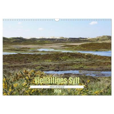 Vielfältiges Sylt - Mehr als Strand (Wandkalender 2026 DIN A3 quer), CALVENDO Monatskalender