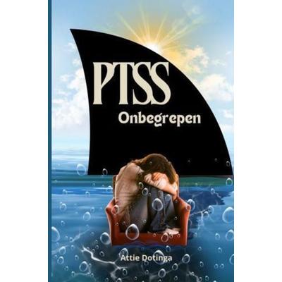 PTSS, Gebundene Ausgabe von Attie Dotinga, Falinn, 978-94-037-5805-3