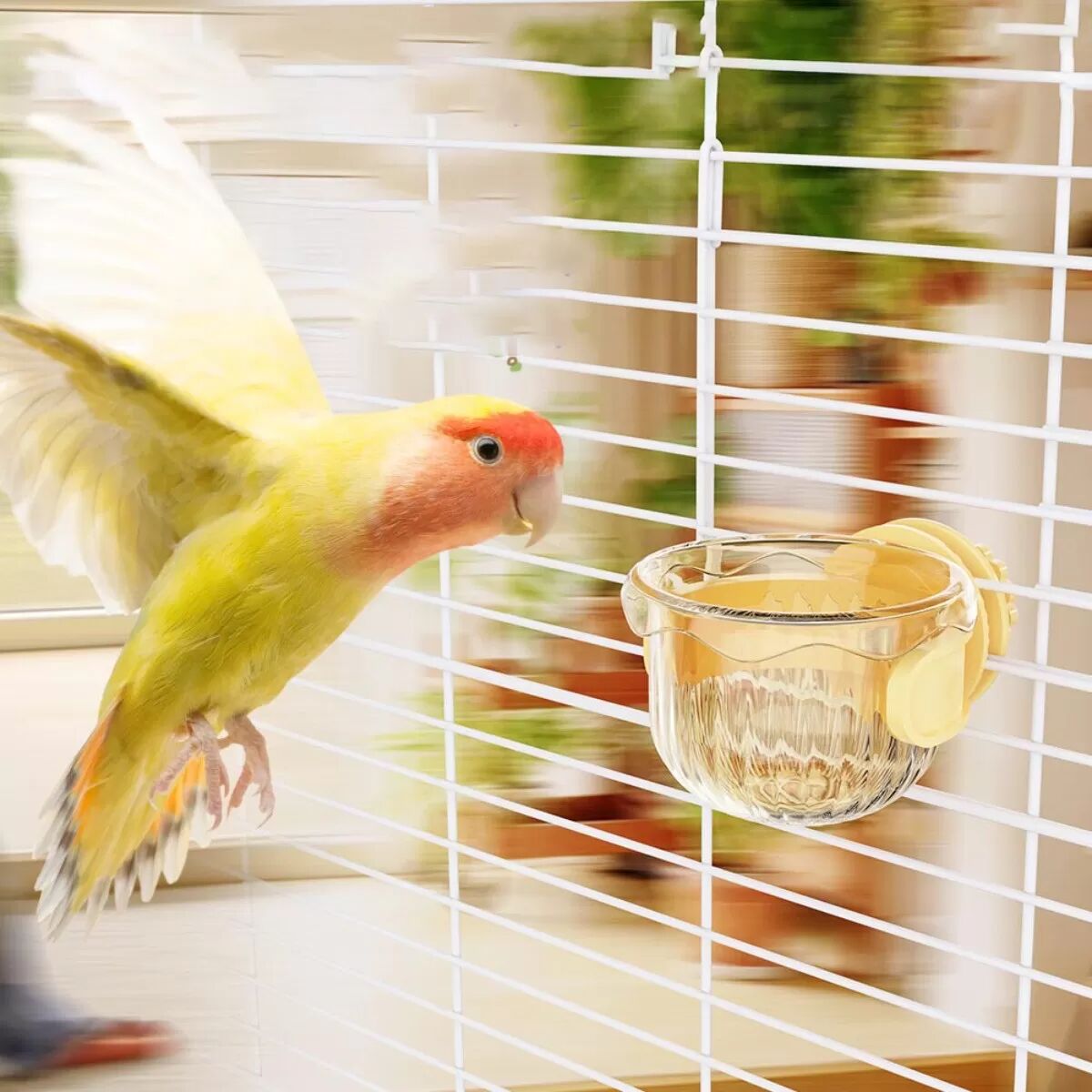 INF Honigtopf-Vogeltränke: Hängende Papageienfutterschale mit abnehmbarem Design Weiß