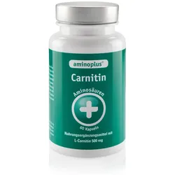 Aminoplus Carnitin Kapseln 60 St