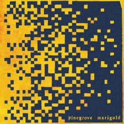 Marigold - Pinegrove, Vinyl