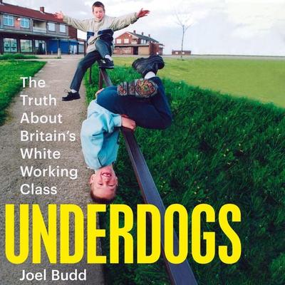 Underdogs - Joel Budd, Audio, 9781035015153