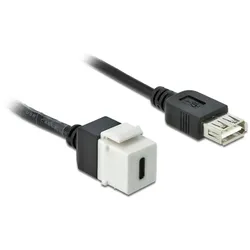 Delock Keystone Modul USB 2.0 C Buchse > USB 2.0 A Buchse mit Kabel
