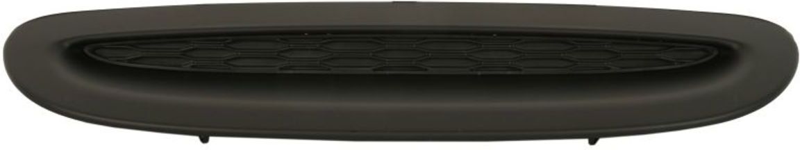 Motorhaube, Teile BLIC 5513-00-4002925P