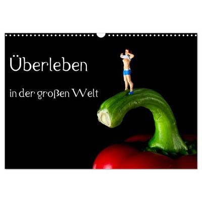 Überleben in der großen Welt - HO Figuren (Wandkalender 2026 DIN A3 quer), CALVENDO Monatskalender
