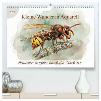 Kleine Wunder in Aquarell - Heimische Insekten kunstvoll illustriert (hochwertiger Premium Wandkalender 2027 DIN A2 quer), Kunstdruck in Hochglanz