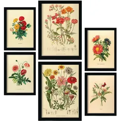 POSTER Set Mit 6 Blumensträuße 2 In Vintage A3 & A4 Rahmenlos