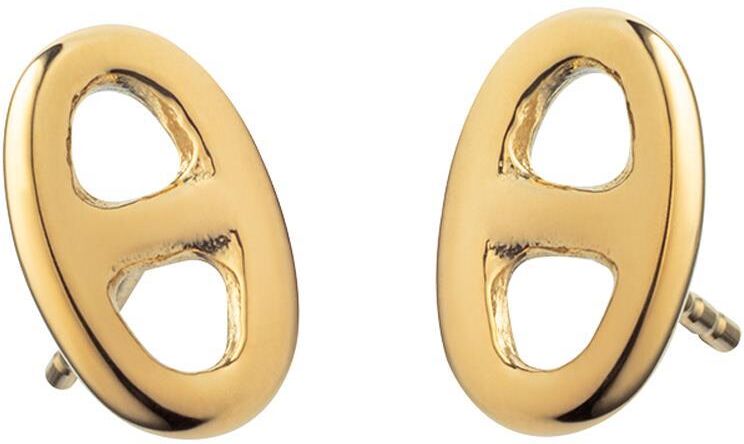 Paul Hewitt Anchor Chain Ohrstecker für Damen aus Edelstahl, gold gold