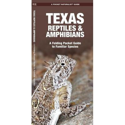 Texas Reptiles & Amphibians, Geheftet von James Kavanagh, Globe Pequot Publishing Group Inc, 978-1-62005-370-6