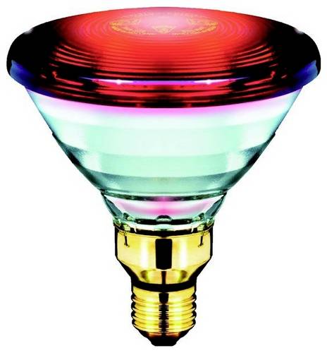 Philips Infrarotlampe E27 150W (Ø x L) 121mm x 136mm 130V 1St.