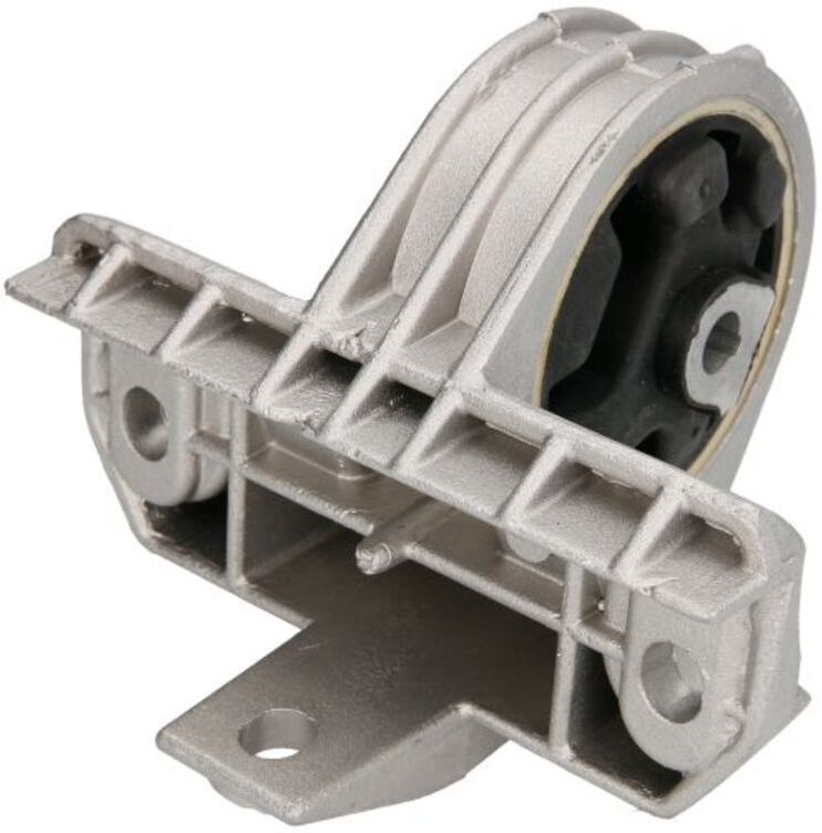 Lagerung, Motor REINHOCH 77 00 804 163, Hinten, Rechts