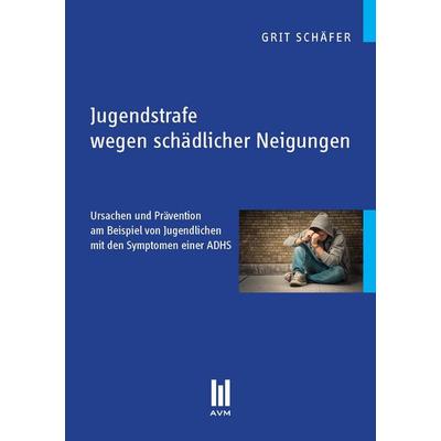 Jugendstrafe wegen schädlicher Neigungen, Taschenbuch von Grit Schäfer, Akademische Verlagsgemeinschaft München, 978-3-86924-341-2