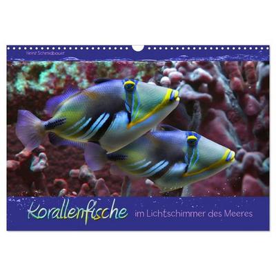 Korallenfische im Lichtschimmer des Meeres (Wandkalender 2027 DIN A3 quer), CALVENDO Monatskalender