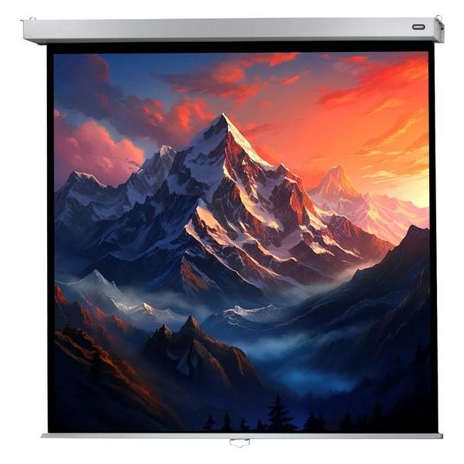 Celexon Professional Plus (84", 1:1) (1090775)