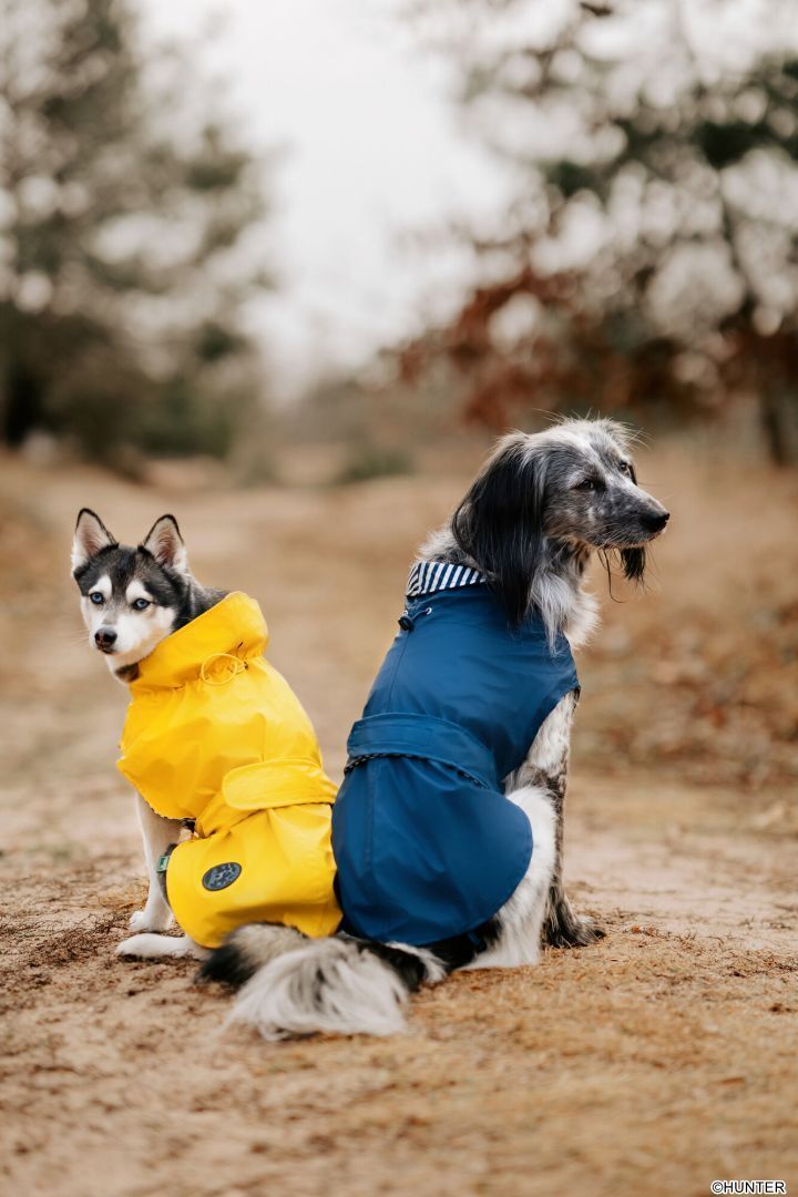 DOG SPORT HUNTER Hunde-Regenmantel Milford 75, blau