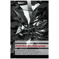 Meisel:Ästhetiken des Untergangs, Fachbücher von Sebastian Meisel