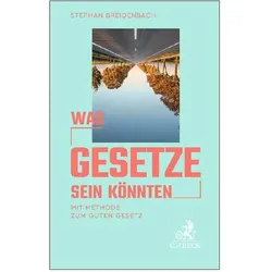 Was Gesetze sein könnten, Fachbücher von Stephan Breidenbach