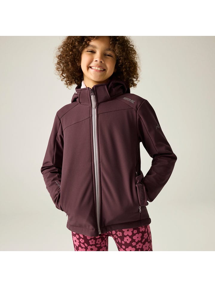 Regatta Softshelljacke "Haydenbury" in Lila - 152