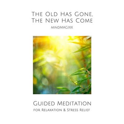 Guided Meditation for Relaxation & Stress Relief - Patrick Lynen, Audio, 4057664658920