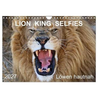 LION KING SELFIES Löwen hautnah (Wandkalender 2027 DIN A4 quer), CALVENDO Monatskalender