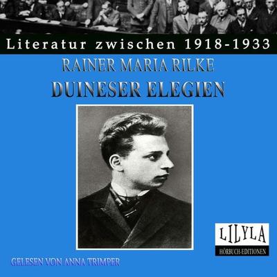 Duineser Elegien - Rainer Maria Rilke, Audio, 9783959895996