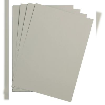 Clairefontaine Maya Fotokarton A1 270g 25 Bogen - Hellgrau 97972C