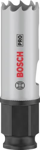 Bosch Accessories 2608594367 2608594367 Lochsäge 19mm 1St.