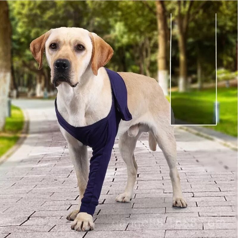 INF XL Hundebein-Schutzhülle gegen Lecken – Wundschutz nach OP & für Outdoor-Aktivitäten