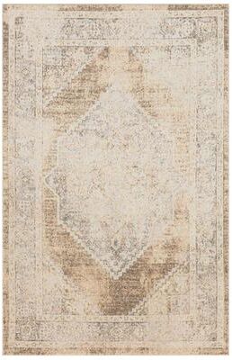 Nourison Astra Machine Washable Persian Area Rug