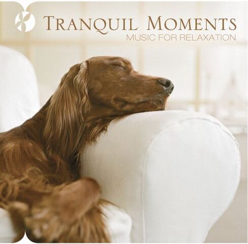 Various - Tranquil Moments Music for Relaxation - Preis vom 28.09.2026 21:19:57 h