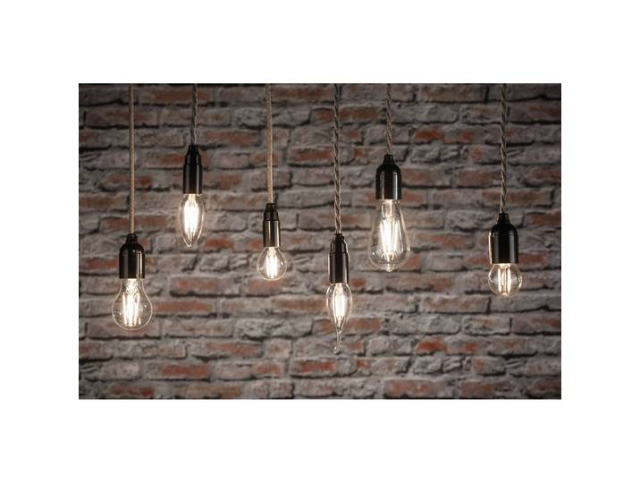Ampoules LED Jersey lot de 5 4 x 8 x 4cm Transparent