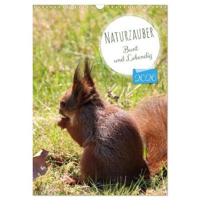 Naturzauber - Bunt und Lebendig (Wandkalender 2026 DIN A3 hoch), CALVENDO Monatskalender