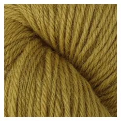 Bramble & Fleece Wooltrace DK, Garn + Wolle, Grün