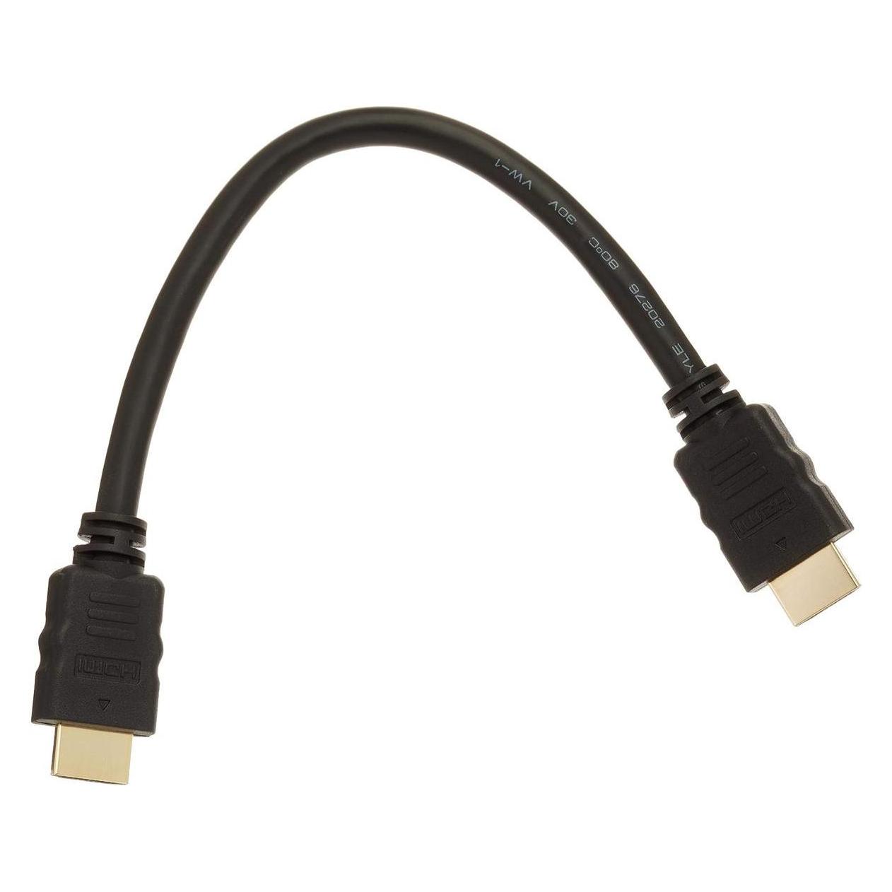 Delock HDMI (Typ A) - HDMI (Typ A) (0.25 m) (83352)