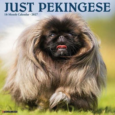 Pekingese 2027 12 X 12 Wall Calendar