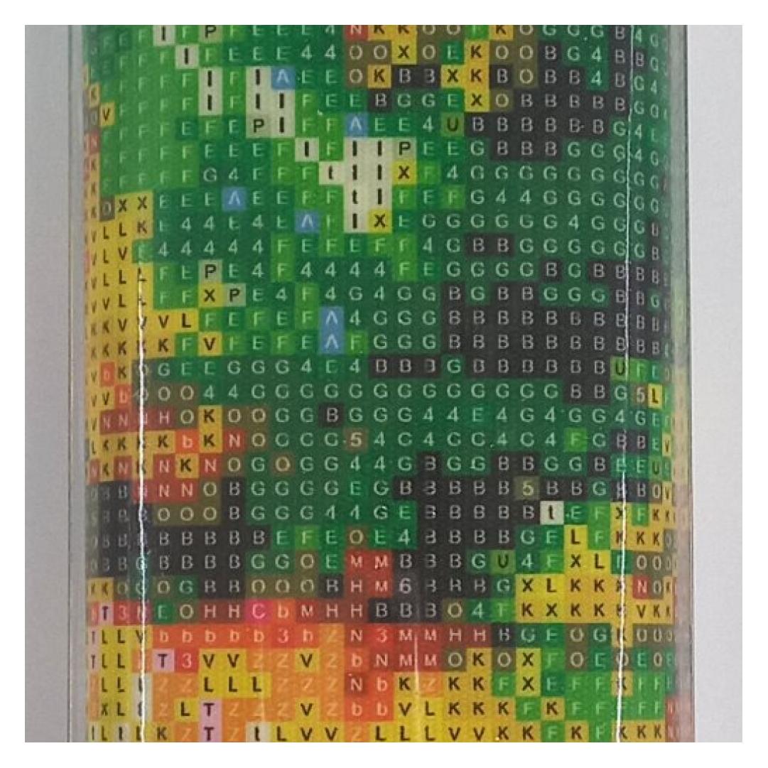 Norimpex Diamond mosaic - Park in autumn (NO-1006406)