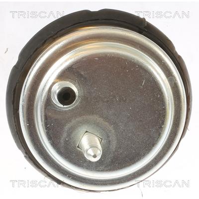 TRISCAN Lagerung, Motor 850511102 für BMW