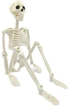 Uplift Essentials Full Body Posable Halloween Skeleton Prop Full Body Posable Halloween Skeleton Prop