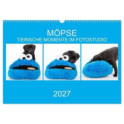 MÖPSE - tierische Momente im Fotostudio (Wandkalender 2027 DIN A3 quer), CALVENDO Monatskalender