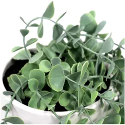 Hjh Office, Kunstpflanzen, Eucalyptus Climb (90 cm)