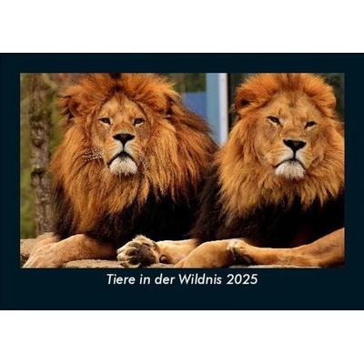 Tiere in der Wildnis 2025 Fotokalender DIN A5