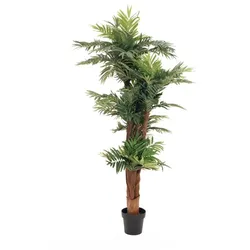 EUROPALMS Areca Palme, Kunstpflanze, 170cm