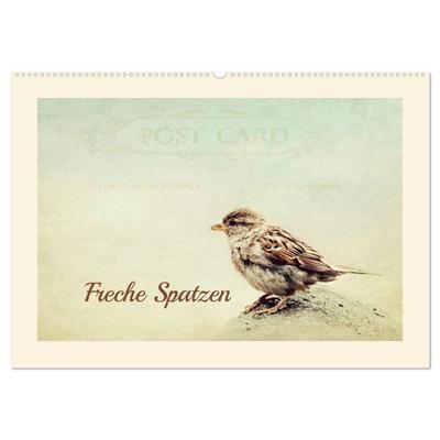 Freche Spatzen (Wandkalender 2026 DIN A2 quer), CALVENDO Monatskalender