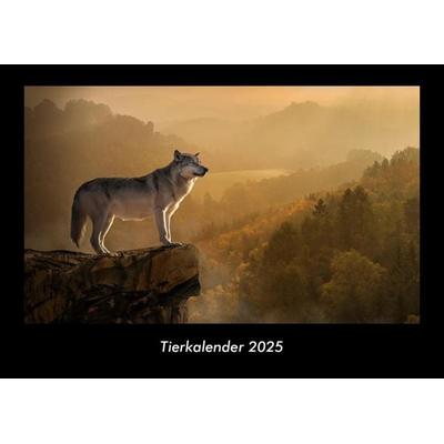Tierkalender 2025 Fotokalender DIN A3